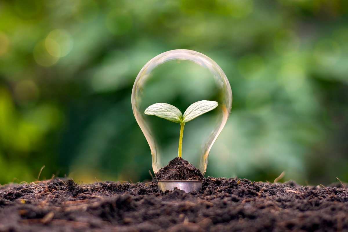 Yenilenebilir Enerji